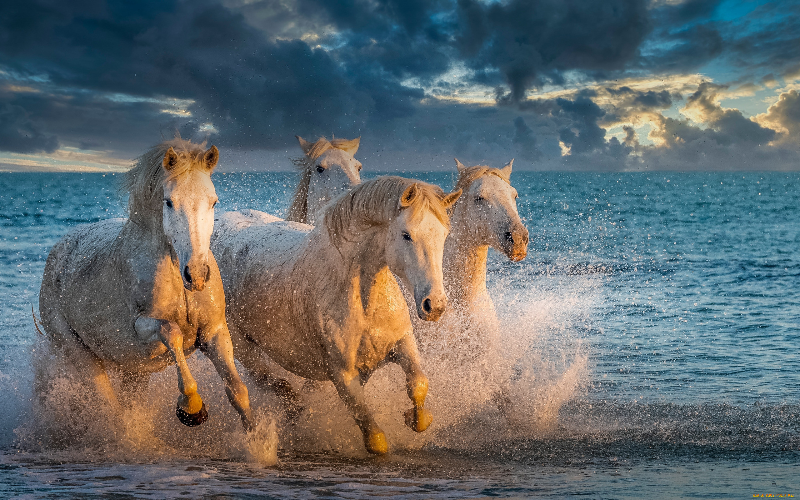 конь и море